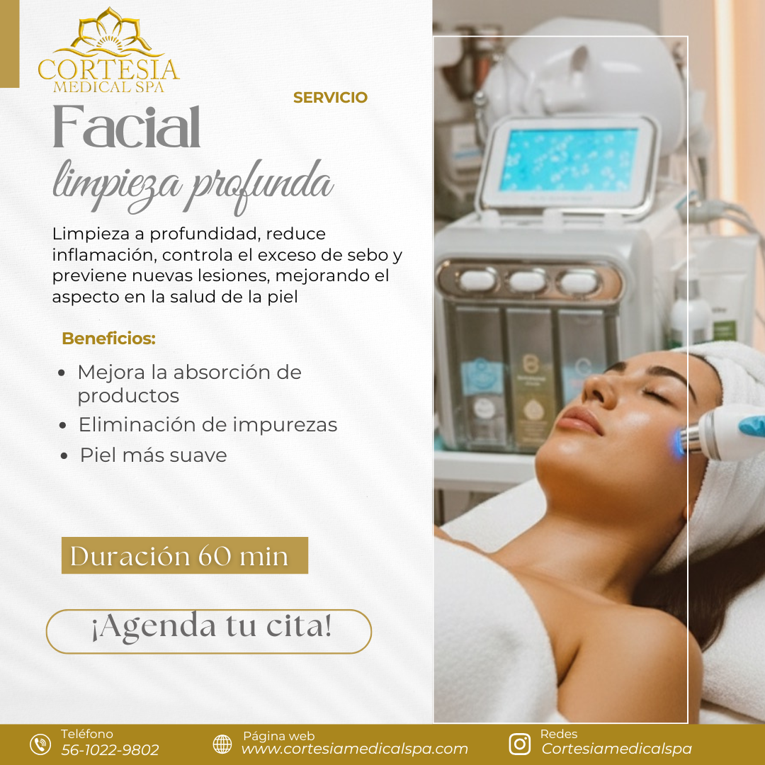 Facial Limpieza Profunda